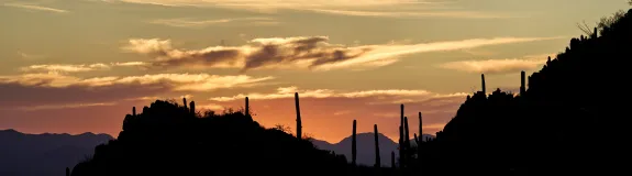 University of Arizona