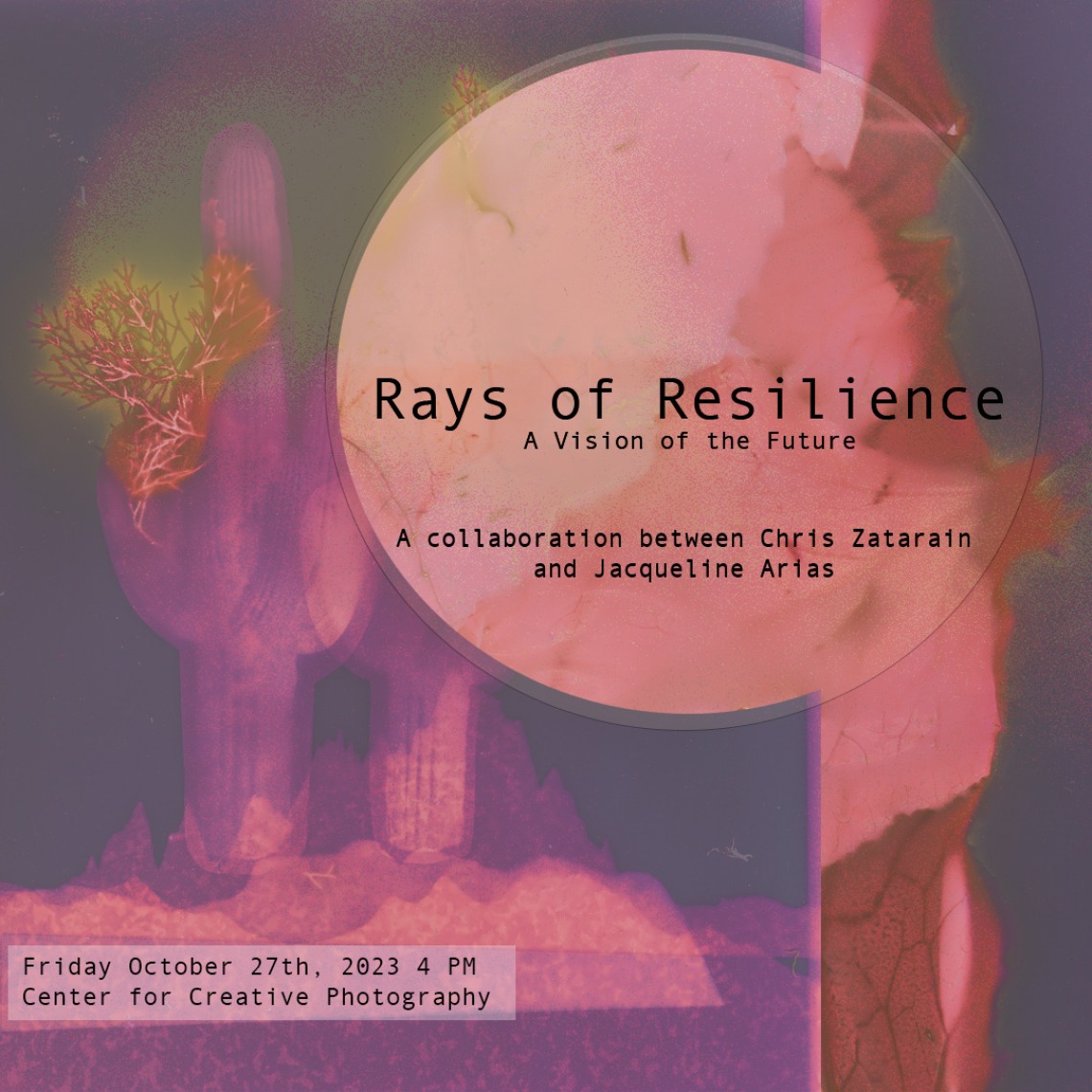 Rays of Resilience Promo