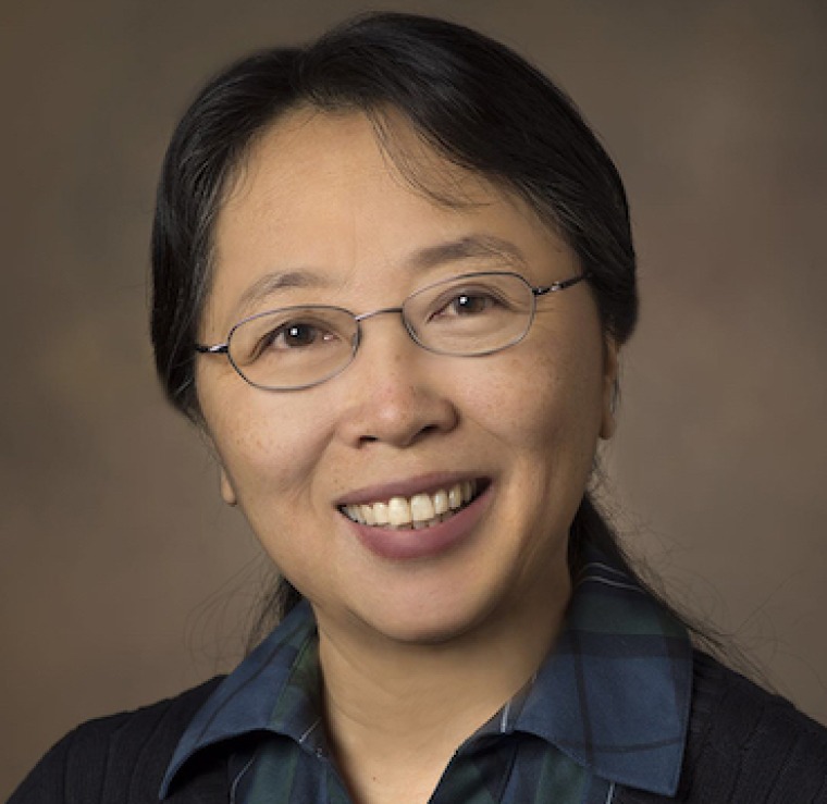 Zhao Chen, AIAR Faculty Member